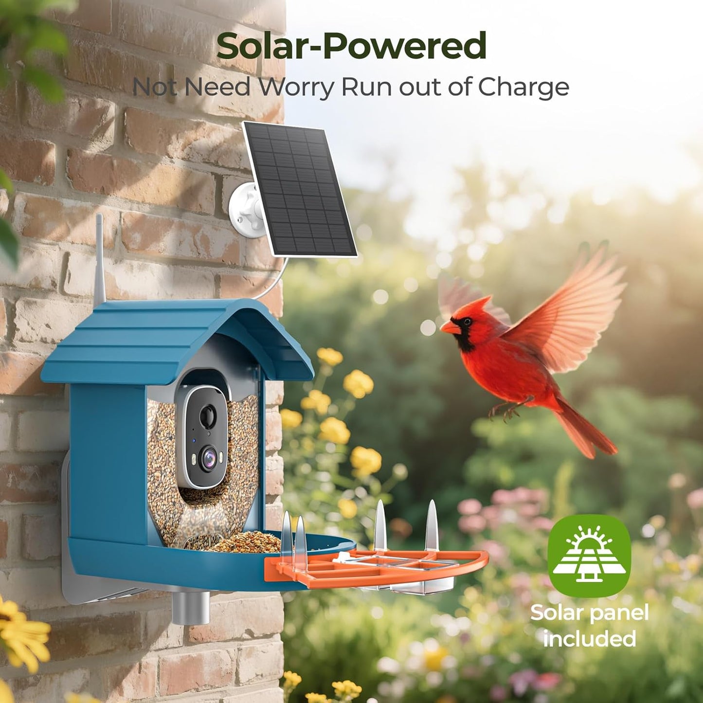 Smart Bird Feeder with Camera Solar Powered for Outside Birdhouse with Camera, AI Identify Birds Species, FHD Live Video, Instant Arrival Alerts, Ideal Gift for Bird Lovers or Family