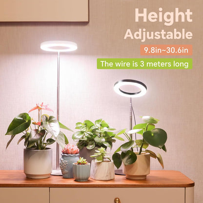 Desktop Grow Light, Height Adjustable Grow Lights for Indoor Plants Full Spectrum, 3 Lighting Mode, Halo Grow Light with Timer, Plant Lights for Indoor Growing (White)