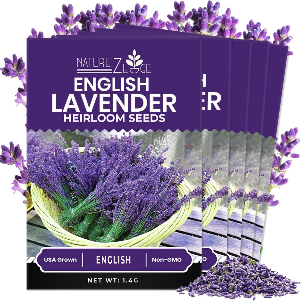 NatureZ Edge 7500 English Lavender Seeds for Planting Outdoors or Indoors, 90% Germination, to Give You The Lavender Plant You Need, Non-GMO, Heirloom Herb Seeds (5 Pack)