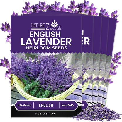 NatureZ Edge 7500 English Lavender Seeds for Planting Outdoors or Indoors, 90% Germination, to Give You The Lavender Plant You Need, Non-GMO, Heirloom Herb Seeds (5 Pack)