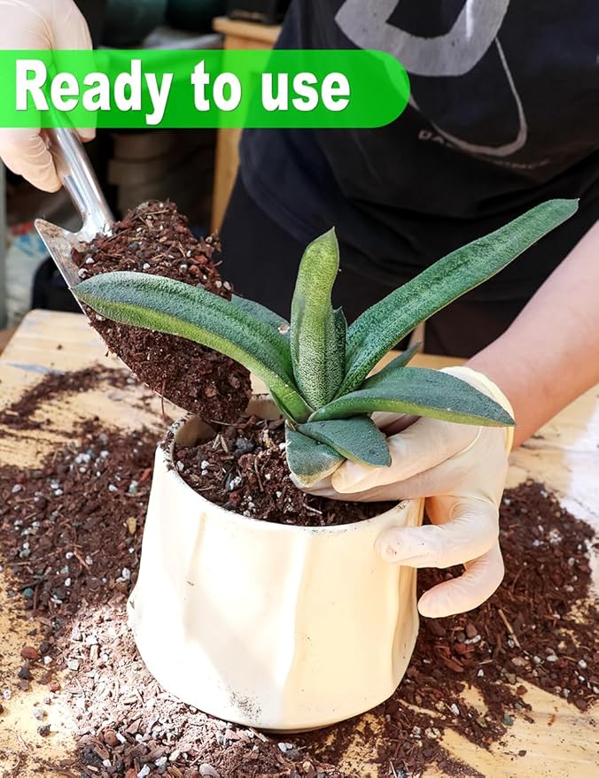 TOYPOPOR Succulent Soil, Cactus Potting Mix 3.75 Pounds/3QTS, High Drainage, Pre-Mixed Ready to Use for All Succulent Varieties, Indoor Plants, Bonsai, Terrarium, Houseplant, 30% Particles 70% Soil