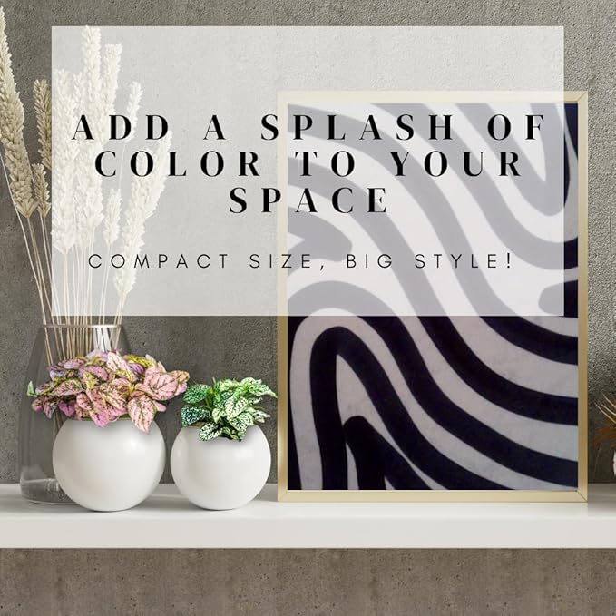 Polka Dot Plant (4-Pack) - Live Houseplants, Small Indoor Plants, Hypoestes Pink- Colorful, Air-Purifying House Plants