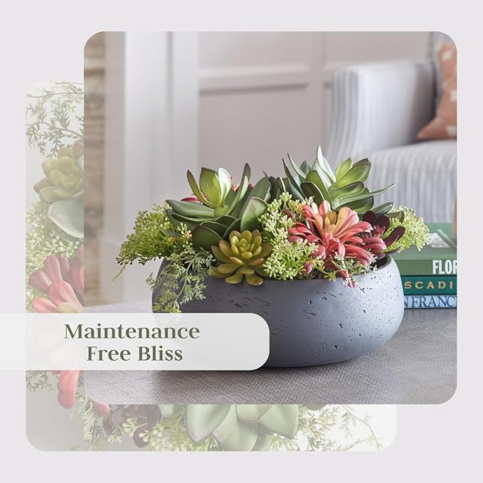 CG Hunter Faux Succulent Arrangement, Premium Artificial Indoor Plant Enhances Interior Design, Display on Any Surface in Your Home Adding an Inviting Touch of Nature, Grey Planter Pot Included