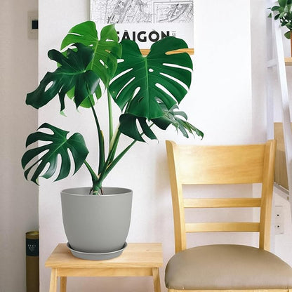 Plant Pots 8 Inch Set of 2, Flower Pots with Multi Mesh Drainage Holes, Planters for Indoor Outdoor Garden Plants and Flowers