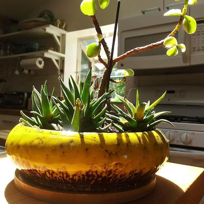 ARTKETTY Succulent Pots - 7.3 Inch Large Succulent Planters with Drainage Ceramic Bonsai Pots with Bamboo Tray, Shallow Planters for Indoor Cactus Plants Decorative Flower Plant Container