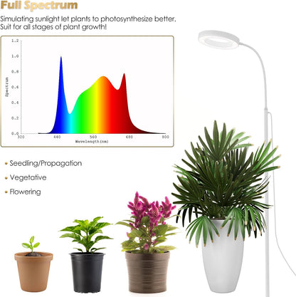 GLOWRIUM Grow Lights for Indoor Plants, 20W Full Spectrum LED Grow Light Floor Lamp with Stand Adjustable Height and Angle, Black Plant Light with 3/9/12H Timer White