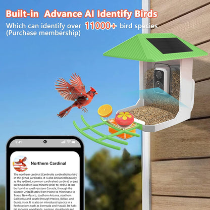 2.5K Smart Bird Feeder with Camera, 2.5L Birds Watching Camera with AI Identify Bird Species, Outdoor Birds Feeder House with Solar Panel for BirdLovers (Cyan)