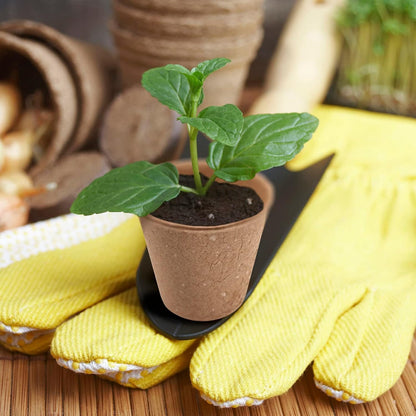 3T GROUP 100 Pack 3.15 Inch Mini Pots for Plants,Small Plant Pots,Biodegradable Compostable Flower Pots,Disposable Seed Seedling Pot Cups for Vegetables,Fruit with 100 Labels,Tool (100pcs)