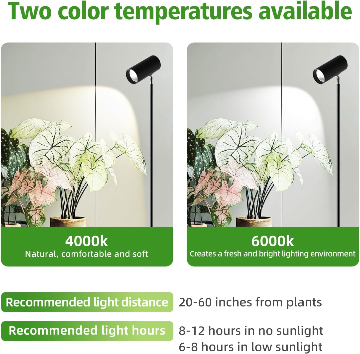 30W Full Spectrum Grow Light, 5000LM High-CRI COB LED Floor Lamp with 6/8/12H Timer, Adjustable Height (28"-83") & Angle, Grow Lights for Indoor Plants, Succulents & Flowers (warm white 4000K)