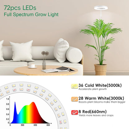 LBW Full Spectrum Grow Light with Stand – Adjustable Height (48.8-64.6"), Auto Cycle Timer (4/8/12H), 4 Brightness Levels, for Large Indoor Plants (White)