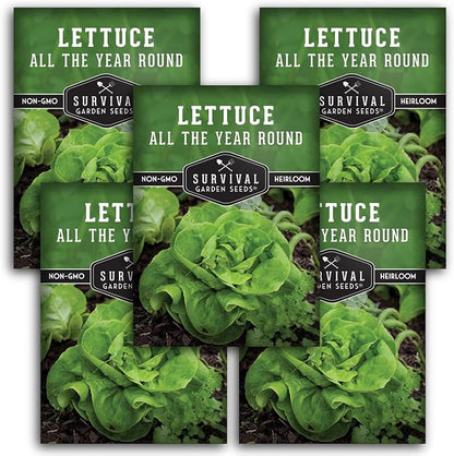 All The Year Round Lettuce Seed for Planting - 5 Packets with Instructions to Plant & Grow Adaptable Salad Greens in Your Home Vegetable Garden - Non-GMO Heirloom Variety - Survival Garden Seeds