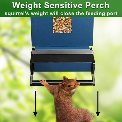 Squirrel Proof Bird Feeder for Outdoors, 6LBS Large Capacity Hanging Bird Seed Feeders for Outside, Weight-Activated Perches Metal Wild Birdfeeder for Blue Jay, Cardinal (Blue)