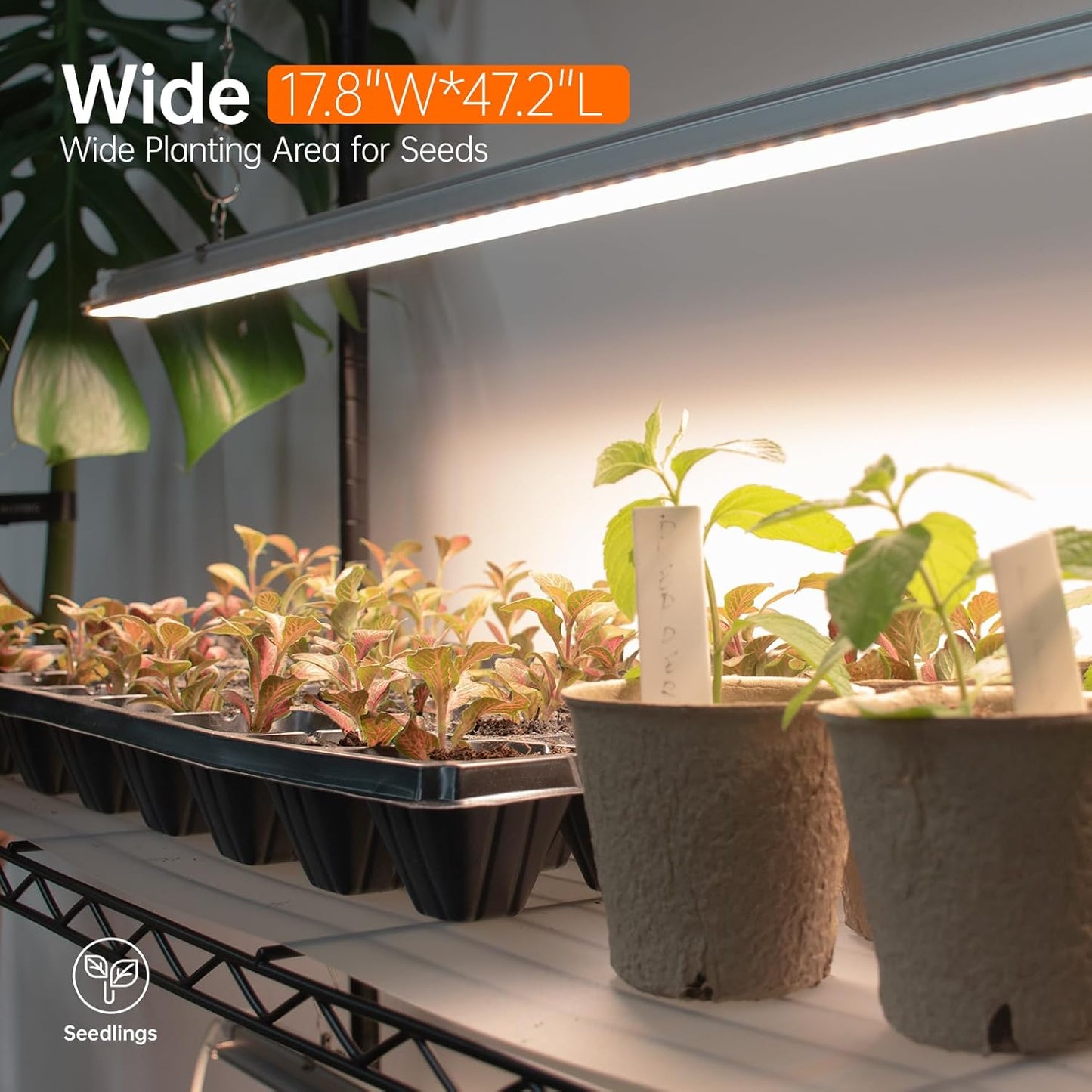 Bstrip Indoor Greenhouse with Grow Light, Tall Plant Stand with 4 Pack Full Spectrum Plant Lights , 3 Color Modes, Plant Shelf with Tent for Indoor Plant, Seed Starting, Seed Tray, 47.2"x17.8"x71"