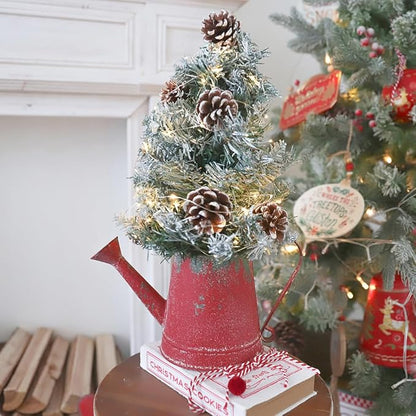 Cute Small Watering Can Indoor Plants Garden Metal Decorative Watering Cans for Outdoor Plants Bonsai Outdoor Garden Flower Decorative (Red, 1.5L, 50.7 Oz)