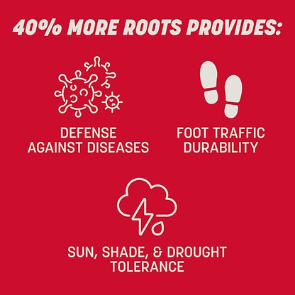 Pennington The Rebels Tall Fescue Grass Seed Mix 7 lb