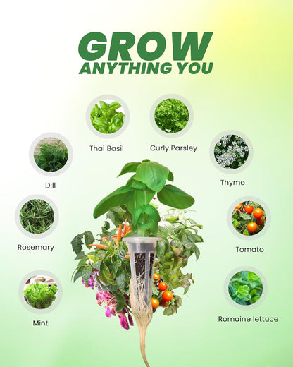 RAINPOINT 100 Pack Grow Sponges for Hydroponics - Hydroponic Sponges for Aerogarden and All Brand - with 100 PCS Planting Cotton, 100 PCS Light-Blocking Paper, 1 PCS Tweezers