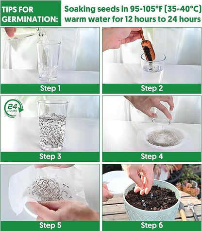 600+ Pepper Seeds, Heirloom Vegetable Seed for Planting Indoor Outdoor, 10 Varieties Hot and Bell Pepper (Capsicum Annuum) Seeds Garden Kit, Non-GMO Home Fresh Food Hydroponic Veggie Supply