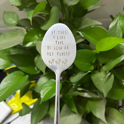 Garden Friendship Gift for Women Gardeners, Plant Marker Stake Label Sign Tag, Gardening Gifts for Woman Plant Lovers, Metal Garden Decoration (Grow an Old Friend-B)