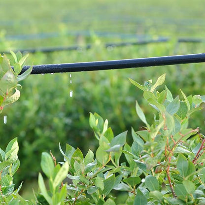 100ft 1/4 inch Blank Drip Irrigation Tubing,1/4 Irrigation Tubing Drip Irrigation Parts Drip Line Irrigation Hose for Drip Irrigation System, Garden Watering Tube Line for Garden Irrigation System