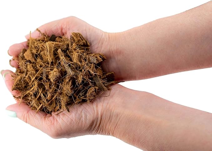 Premium Coconut Husk Chips and Fibers Mix for Orchids, Houseplant, Monstera and Fiddle Leaf Fig by GARDENERA (5 Quart Bag)