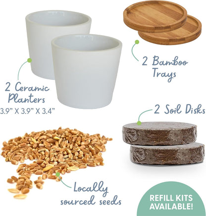 The Cat Ladies Cat Grass Growing kit with Organic Cat Grass Seed, Soil and Two Ceramic Planters with Bamboo Trays Natural Hairball Remedy