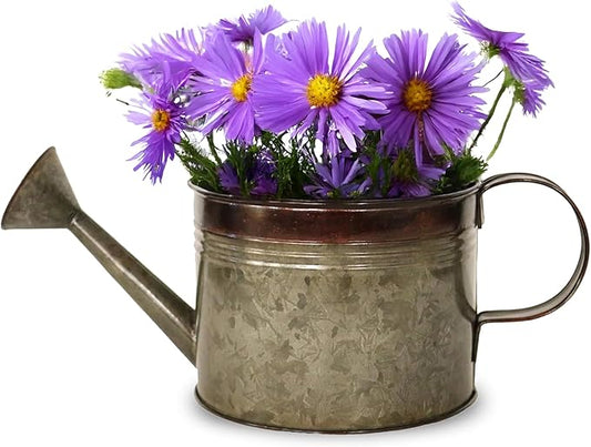 Headwind Countryside Collection - 6 Inch Aged Mocha Brown Galvanized Plant Watering Can for Outdoor & Indoor - Vintage Metal Watering Can Outdoor Planter by Robert Allen