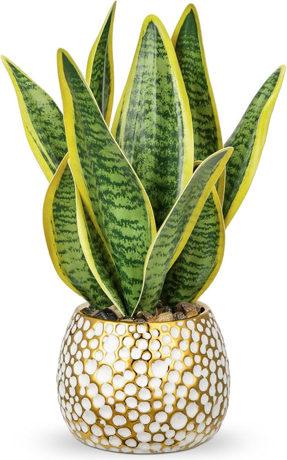 Hollyone Artificial Snake Plant Potted Faux Sansevieria Trifasciata Plants, 13" Tropical Fake Plants in Ceramic Pots for Home Office Room Indoor Decor Housewarming Gifts