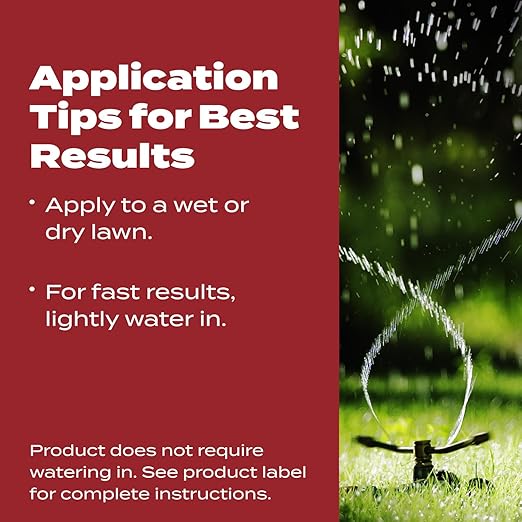 Scotts Turf Builder WinterGuard Fall Lawn Fertilizer for All Grass Types, 12,000 sq. ft., 32.3 lbs.