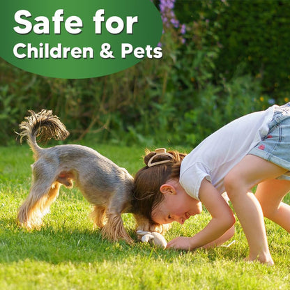 Mosquito Repellent for Patio, Indoor Mosquito Repellent Balls, Mosquito Control for Garage, Outdoor Yard Mosquitoes Deterrent, Mosquitoes Repellant for Room, Keep Mosquito Away for Travel-8P