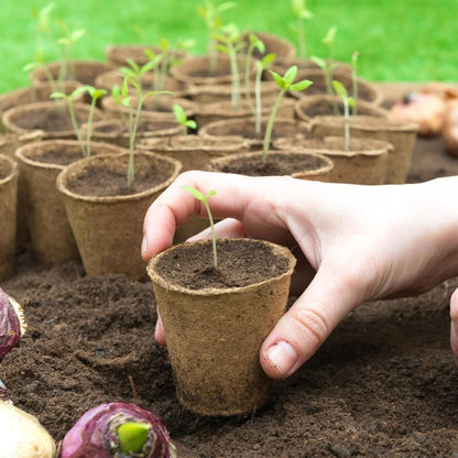 30 Packs Peat Pots, 3.1 Inch Seed Starting Pots Without Drainage Holes, Biodegradable Round Nursery Pot, Starting Seeds of Vegetables, Herbs, and Flowers