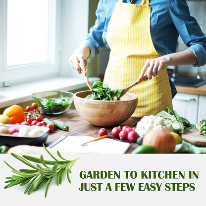 10 Kit Non-GMO Growing into Thyme, Lavender, Chamomile, Dill, Chives, Cilantro, Rosemary, Basil, Parsley, Sage Indoor/Outdoor for Kitchen Windowsill Gardening Gift