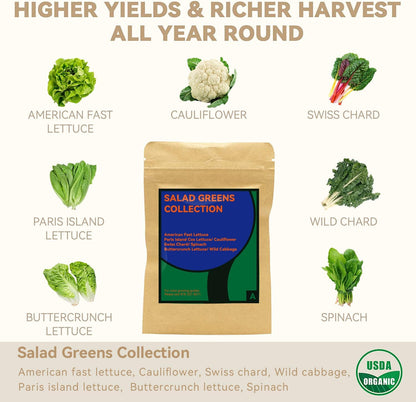 inbloom Salad Green Seed Pod Kit for AeroGarden, Ahopegarden, GARDENCUBE, MUFGA, 7 Pods (350+ Seeds with American Fast/Paris Island/Buttercrunch Lettuce, Swiss Chard, Spinach, Cauliflower, Cabbage)
