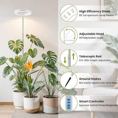 White Grow Light, Full Spectrum LED Plant Lights for Indoor Growing with 6/12/16H Timer, 3 Color Modes, 5 Brightness, 10"-65" Height Adjustable Growing Lamp for Large Indoor Plants, 2 Pack
