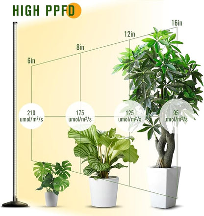 bedee LED Grow Light for Indoor Plants: 65 Inch Full Spectrum Plant Lights for Seed Starting with Timer and 10 Level Dimmable Standing Plant Growing Lamp for Greenhouse with Hanging Accessories