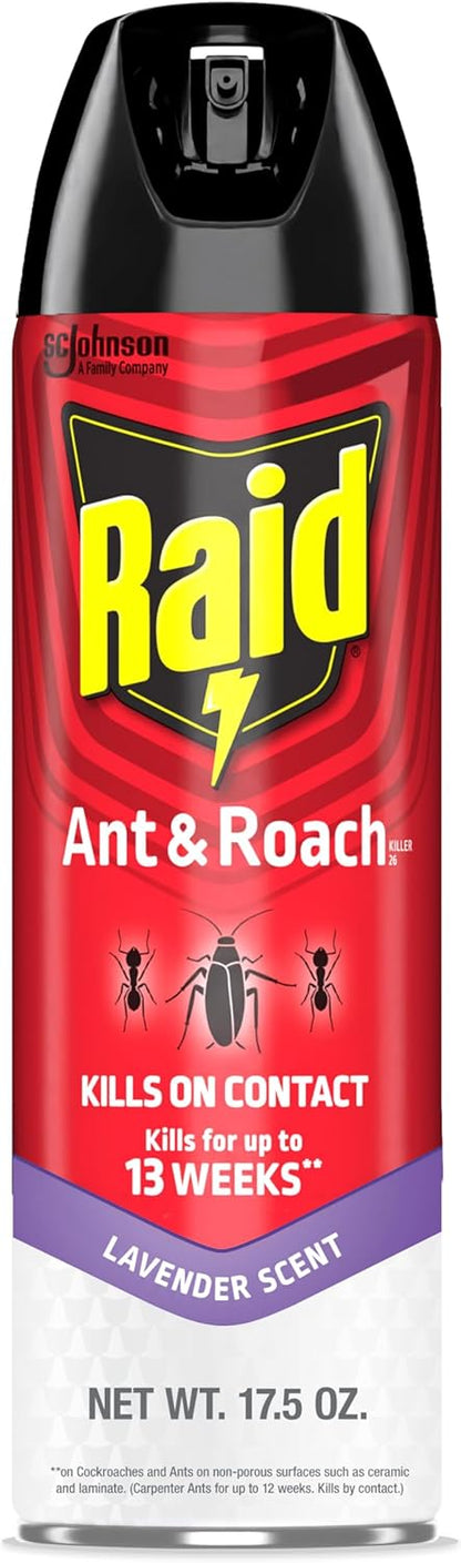 Raid Ant & Roach Killer Spray for Listed Bugs, Keeps Killing for Weeks, Lavender Scent, 17.5 oz