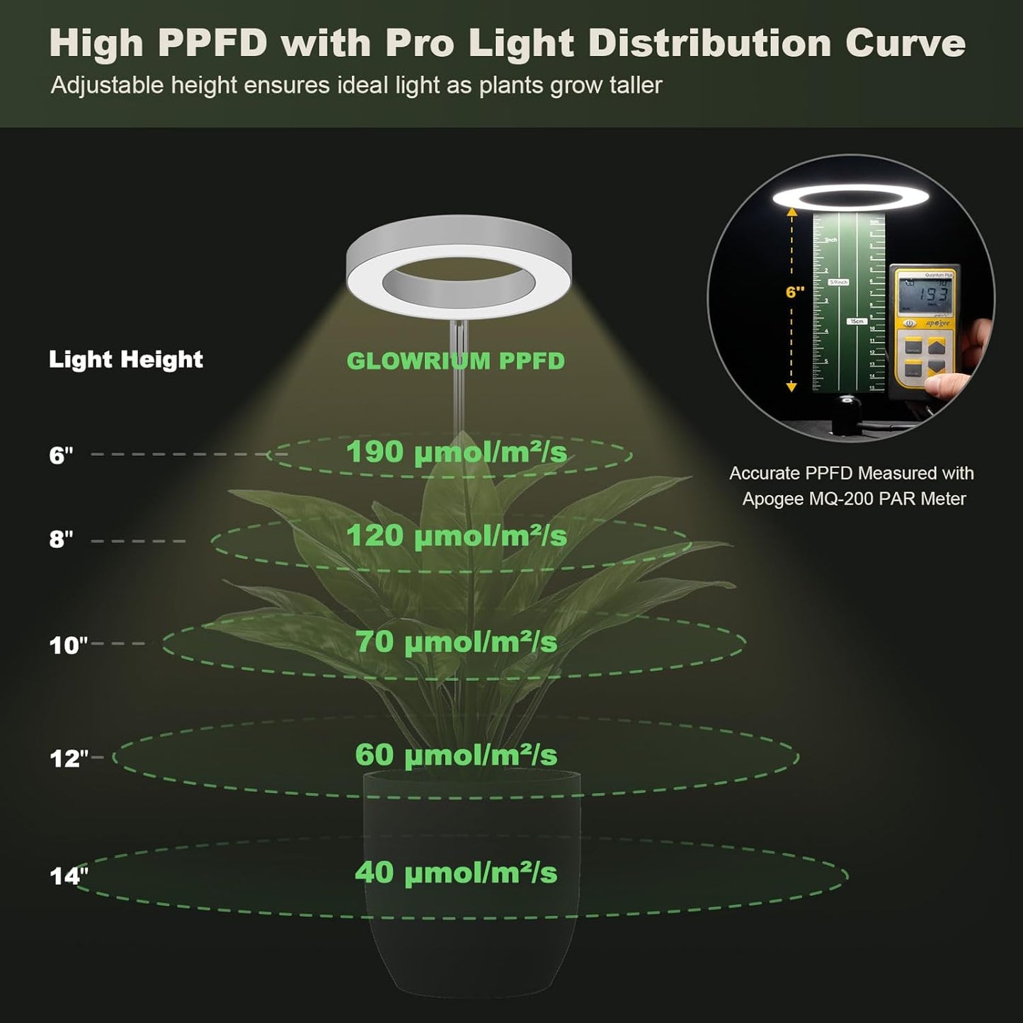 GLOWRIUM Grow Lights for Indoor Plants, LED Full Spectrum Growing lamp, 10 Level Dimmable, 3/9/12H Timer, 9-24 Inches Height Adjustable, Suit for Desk Succulents Mini Small Plants (White-Desk Style)