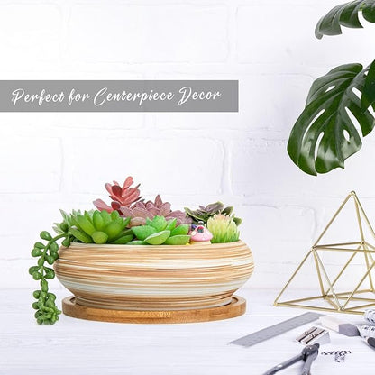 ARTKETTY Succulent Pots - Ceramic Bonsai Pots with Drainage Tray, 7.3 Inch Large Plant Pots Shallow Succulent Planters for Indoor Plants Decorative Cactus Flower Planter Bowl