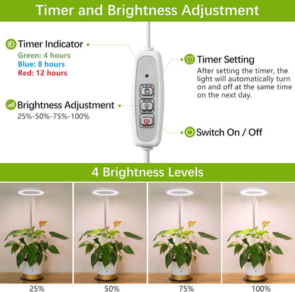 LORDEM Grow Light, LED Plant Light for Indoor Plants Growing, Full Spectrum Desk Growth Lamp with Automatic Timer for 4H/8H/12H, 4 Dimmable Levels, Height Adjustable 9.8"-30.6", Pack of 2