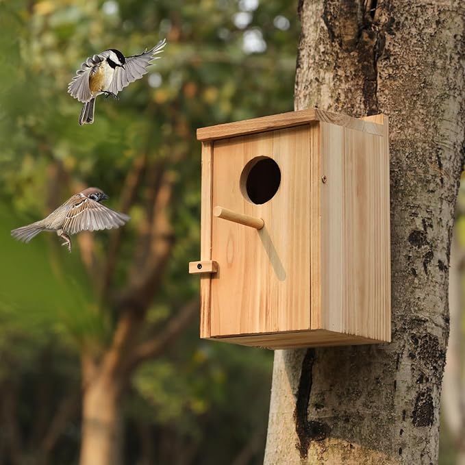 2 Pack Bird Houses for Outside, Hummingbird House Outdoor, Birdhouse kit,Bluebird Finch Swallow Wren Chickadee