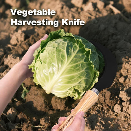 Berry&Bird Grass Sickle with Sawtooth, Heavy Duty SK5 Carbon Steel Blade Sickle Knife Scythe Garden Tool, Brush Clearing Sickle Weeding & Harvesting Tool for Gardeners/Farmers - Ashwood Handle