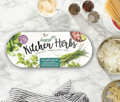 BUZZY Seeds Organic Windowsill Grow Kit, Copper Culinary Herb Garden with Basil, Cilantro and Chives, Indoor Starter Set with Seed Packets and Growing Medium, Holiday Present, Gardening Gift