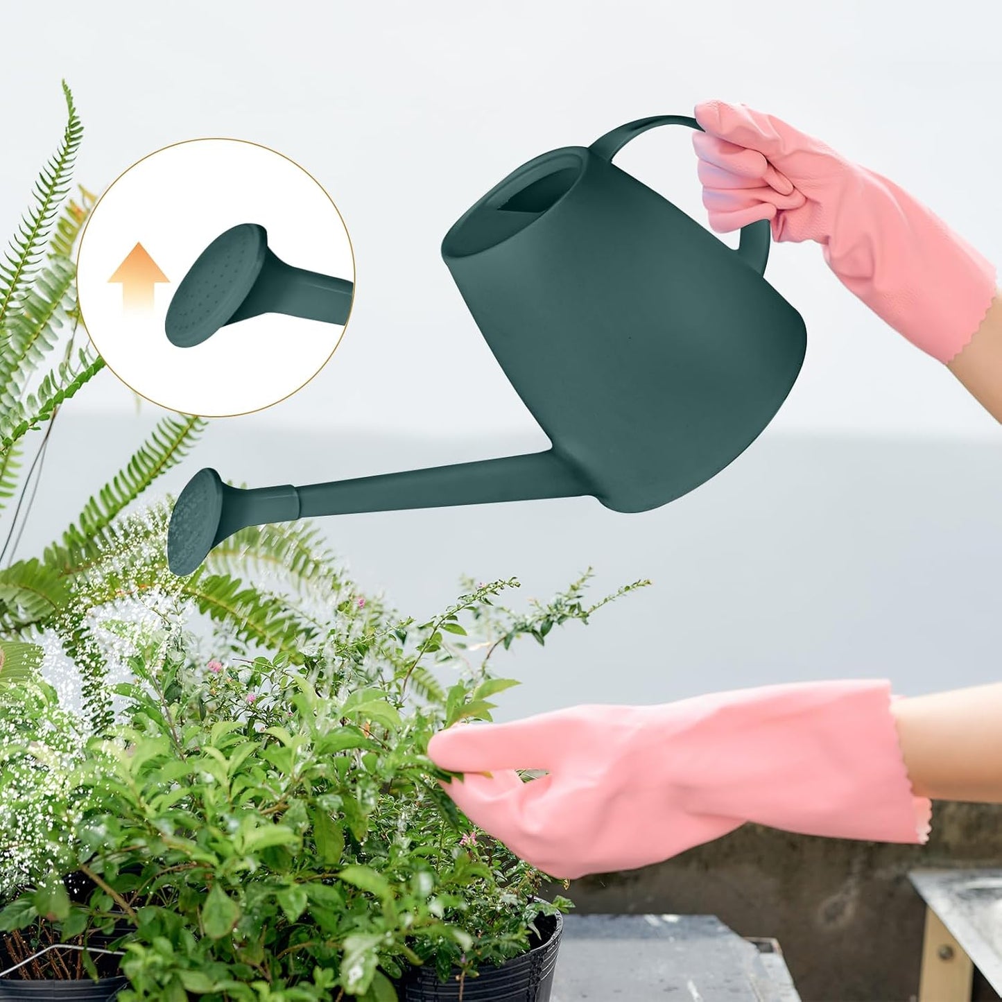 Plastic Watering Can - 1/2 Gallon - Blackish Green