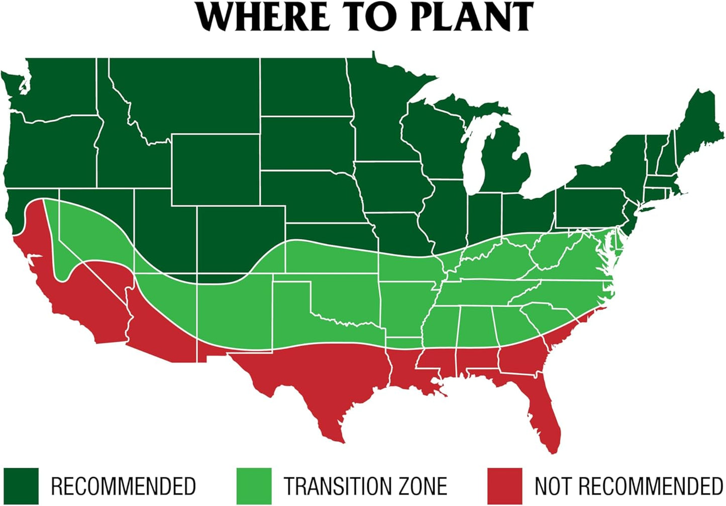 GreenView Pure Grass Seed Perennial Ryegrass Blend, 20 lb. Bag – Covers up to 10,000 sq. ft.
