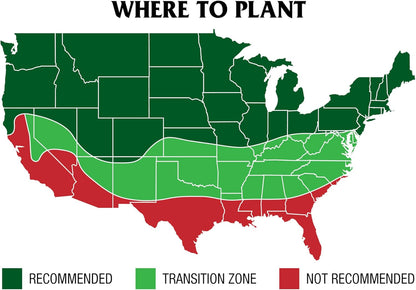 GreenView Pure Grass Seed Perennial Ryegrass Blend, 20 lb. Bag – Covers up to 10,000 sq. ft.