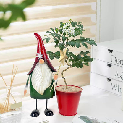 HONGLAND Christmas Decorations Outdoor Metal Gnome Yard Art Garden Gnomes Statue 13 Inch Santa Figurine for Holiday Christmas Lawn Patio Yard Garden Decor