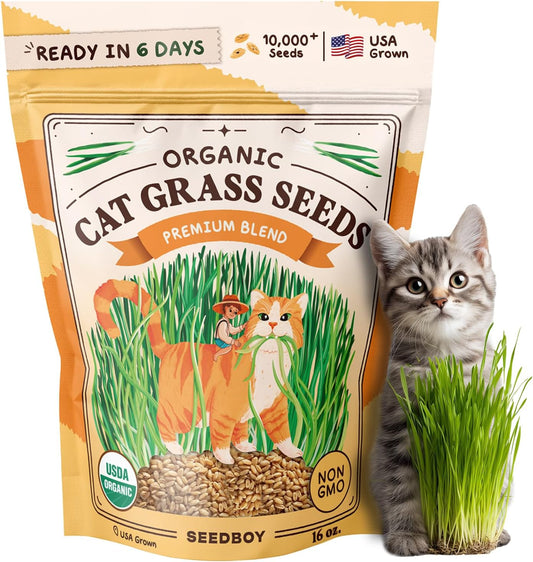 Seedboy Organic Cat Grass Seeds for Planting, Non-GMO Wheat, Oat, Rye, and Barley Cat Grass for Indoor Cats (16 oz)
