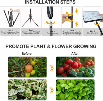 Grow Light with Stand, Orchbloom Grow Lights for Indoor Plants 75W, Natural Sunlight Full Spectrum Plant Growing Lamps for Houseplants & Bonsai Tree, 4/8/12 Hr Timer Plant Light Auto On/Off Everyday