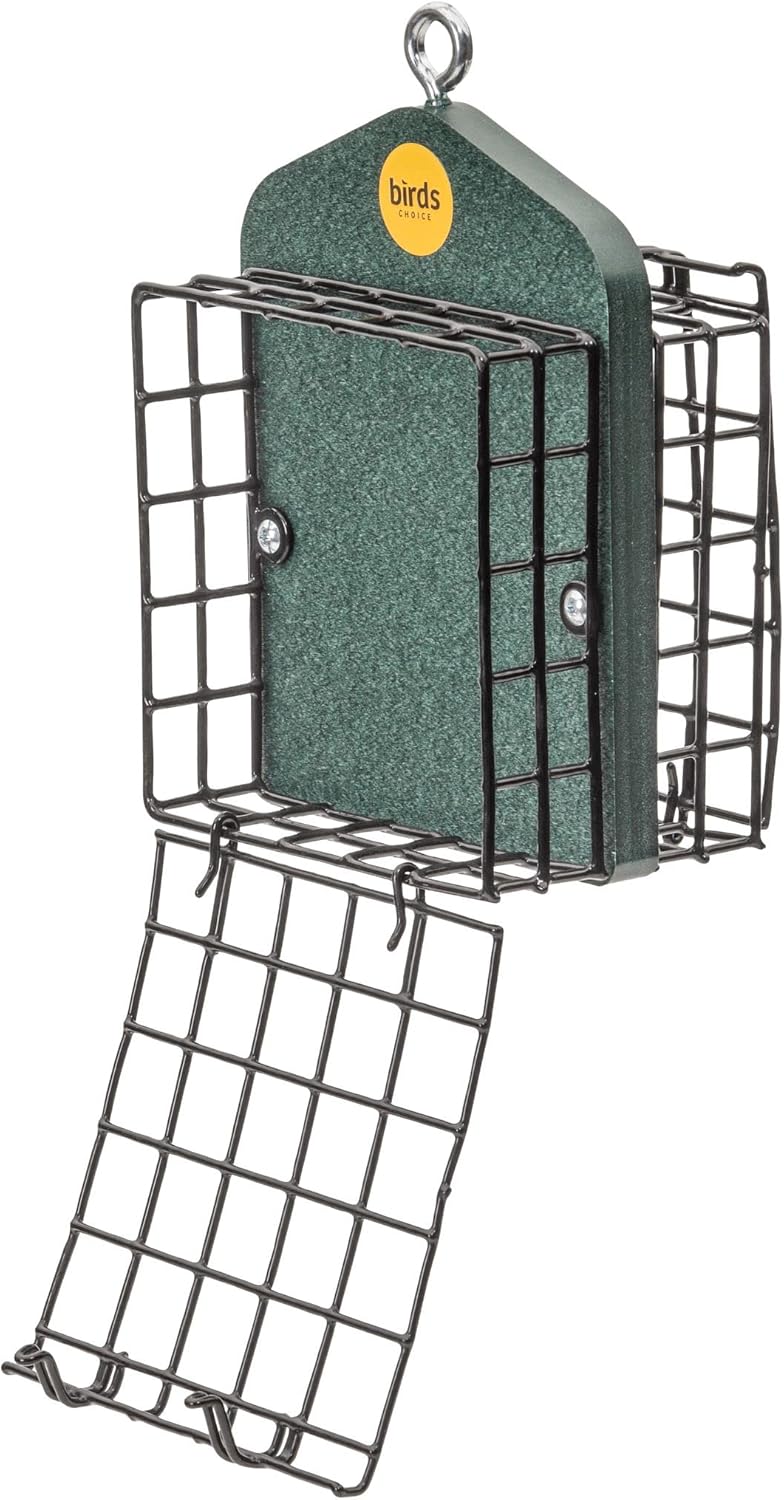 Bird's Choice Suet Feeder for Two Cakes in Evergreen Recycled Plastic