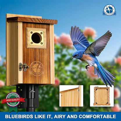 Pack of 2 Bluebird Houses for Outside, Premium Wooden Bird Houses for Outdoor, Weatherproof Blue Bird House, Bluebird Swallow Chickadee Wren, Assembly Required