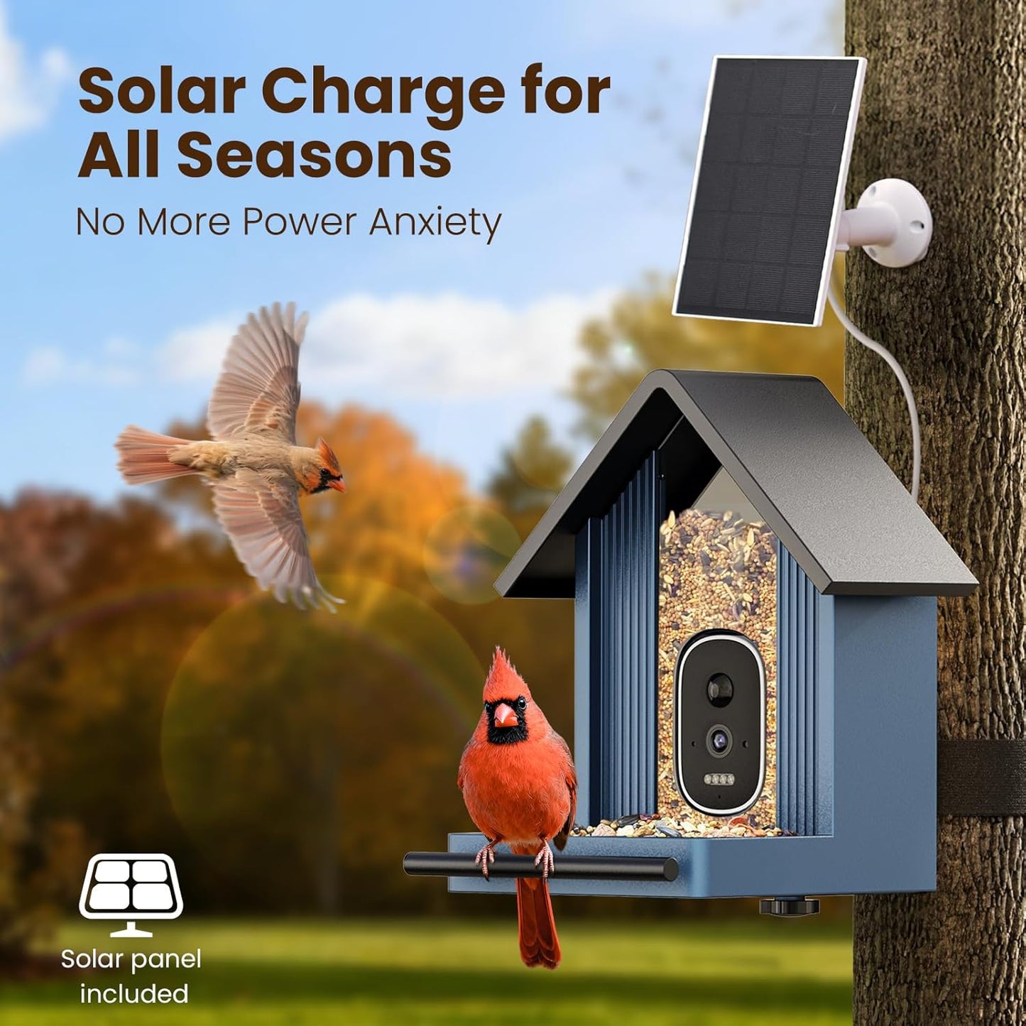 Metal Smart Bird Feeder with Camera, 2.5K UHD Bird Camera AI Identifies 11,000+ Bird's Species, Real-time Bird's Videos & Pictures, Solar Powered Wireless Outdoor, Ideal Gift